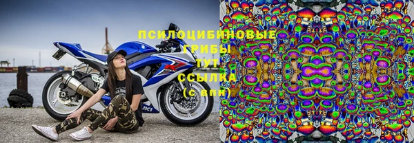 соль ск Арсеньев